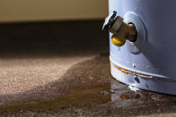 Best Flood damage cleanup  in Gateway, FL