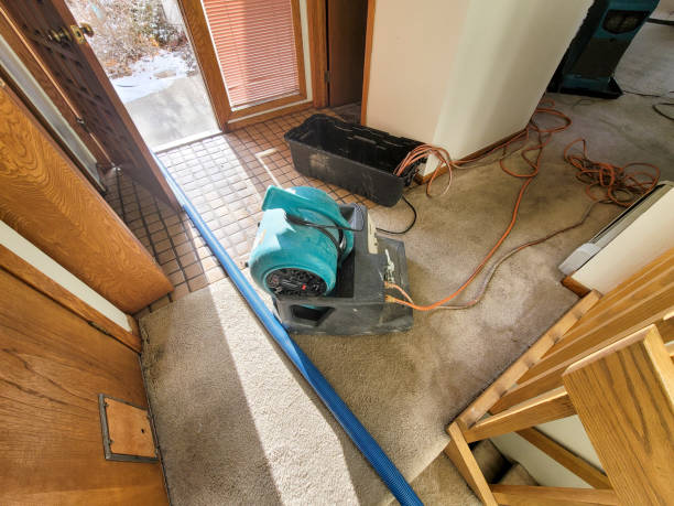 Best Water damage mitigation services  in Gateway, FL