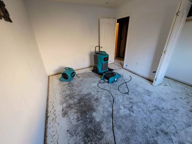 Best Local water damage restoration  in Gateway, FL