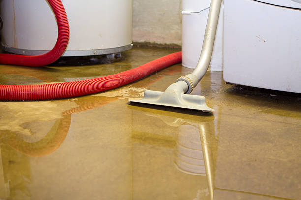 Best Flooded house restoration  in Gateway, FL