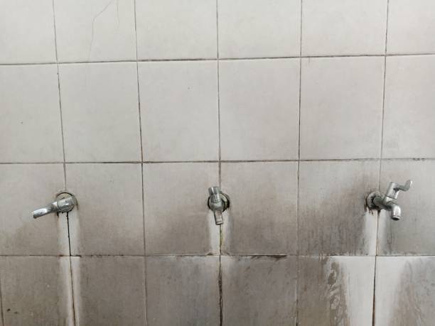 Best 24/7 water damage repair  in Gateway, FL