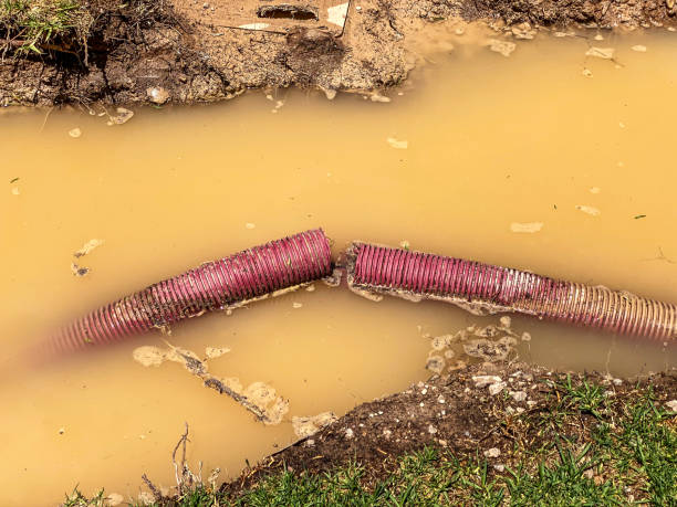 Best Basement water damage restoration  in Gateway, FL