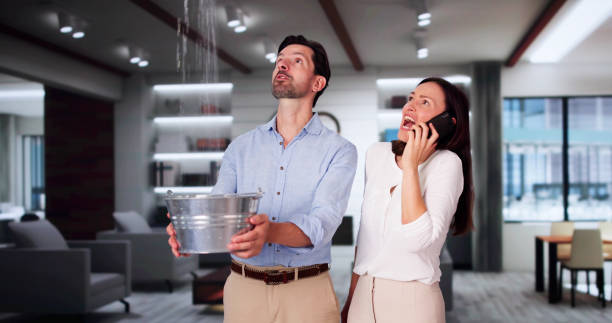 Best Residential water damage restoration  in Gateway, FL