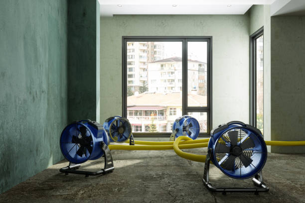 Best Water damage restoration near me  in Gateway, FL